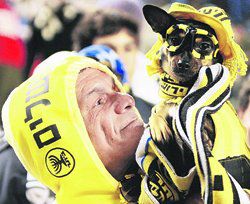 В Тель-Авиве против россиян болели даже собаки (фото)
