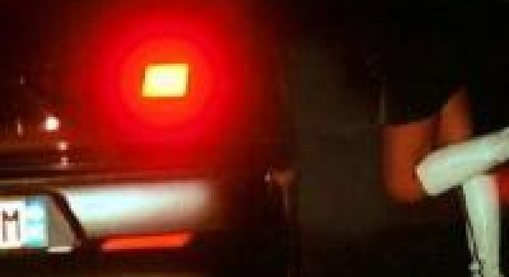  «Швидка» для нічних метеликів