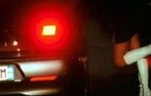  «Швидка» для нічних метеликів