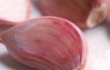 Чеснок - доктор от ста болезней