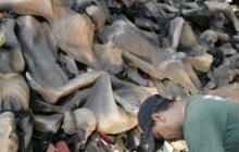 На карнавалі в Ріо вирішили сумістити Голокост із самбою (фото)