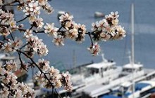 Севастополь получил турпаспорт