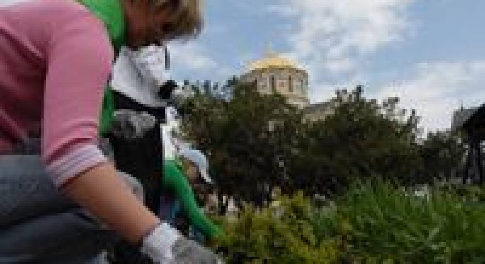 Банкіри чистили Україну від сміття