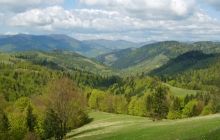 На Закарпатті оголосили штормове попередження на 6 грудня