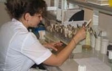 Кто отвечает в Украине за качество вакцин?