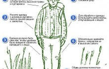 Захисти себе від енцефалітних кліщів