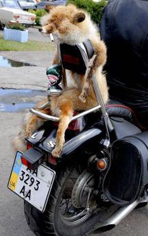 Свадьба байкеров (14 фото)