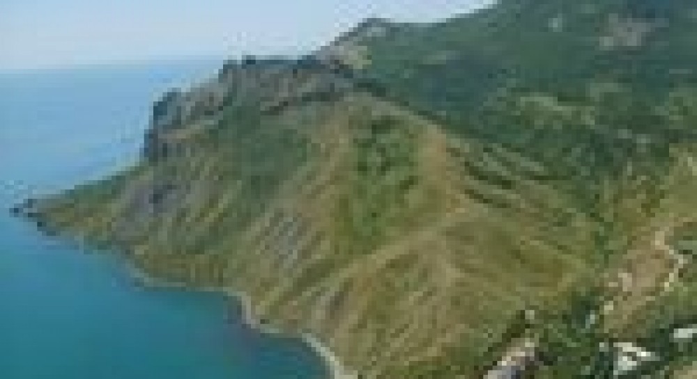 У Криму Томенка спустили з небес на землю