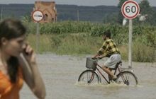 Эксперт: масштабное наводнение – результат вырубки лесов в Карпатах