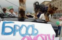 Мисливці проти мораторію на полювання на Харківщині (фоторепортаж)