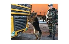 Генерал таможенной службы Салагор: На наших глазах идет прихватизация всей таможни