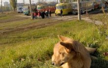 У Харкові таксисти стали «загинати» ціни