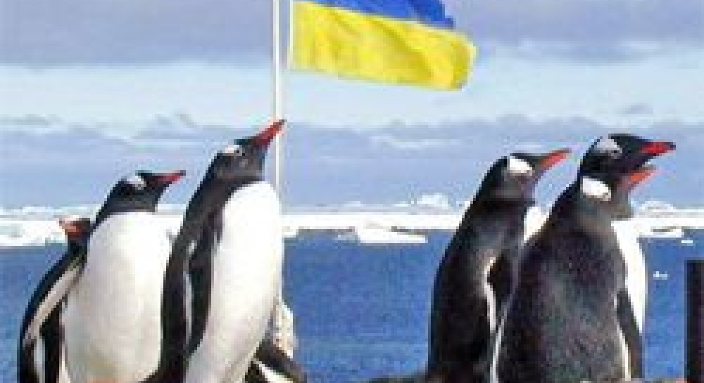 Чи варто дражнити голодного ведмедя?