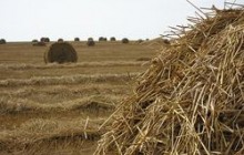 Опрелен порядок ведения госземкадастра