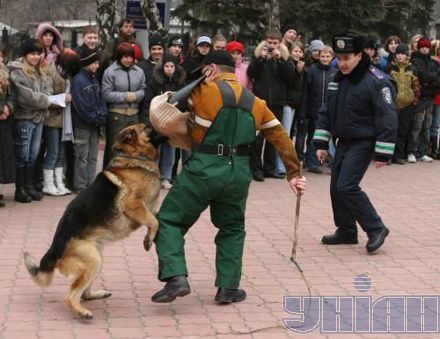 У Донецьку охочим давали гранатомет (фоторепортаж)