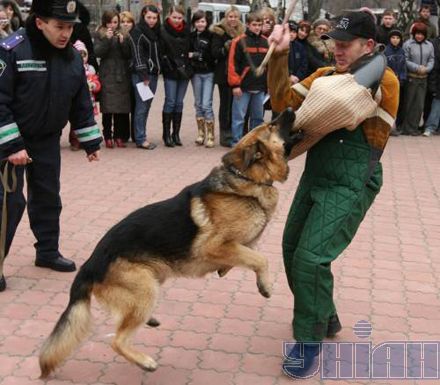 У Донецьку охочим давали гранатомет (фоторепортаж)