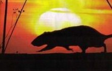 В Ялту «приплили» чорні щури