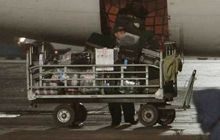Кражи багажа в "Борисполе": взгляд изнутри
