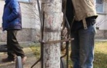 Взрыв в Евпатории произошел из-за разгерметизации баллона с газом?