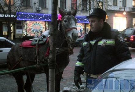 На Крещатике телега столкнулась с 'Маздой' (фоторепортаж)