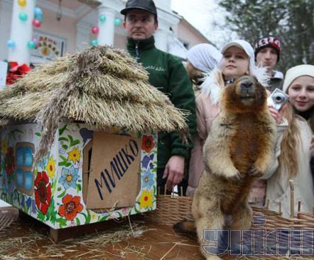 День сурка в Харькове и Львове (фото)
