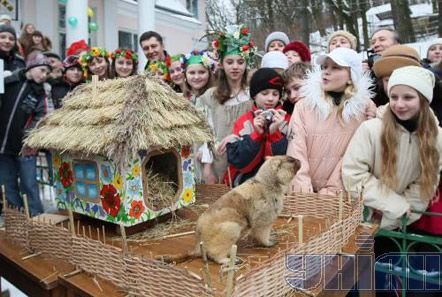День сурка в Харькове и Львове (фото)