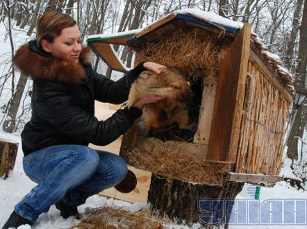 День сурка в Харькове и Львове (фото)