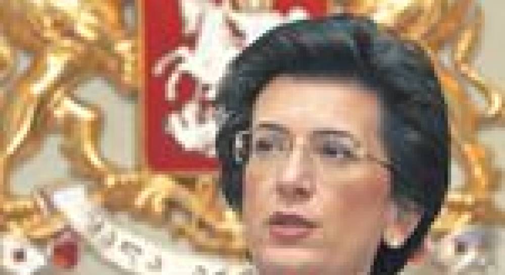 Нино Бурджанадзе: Надеюсь, что я стану новоизбранным лидером Грузии