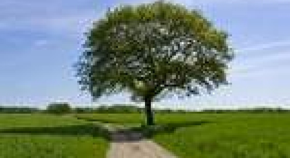 УКРАЇНСЬКА ЗЕМЛЯ ЧЕКАЄ НА ЗАКОНОТВОРЦІВ