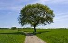 УКРАЇНСЬКА ЗЕМЛЯ ЧЕКАЄ НА ЗАКОНОТВОРЦІВ