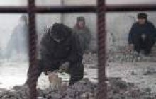 ОСТАННІЙ ПРИХИСТОК ДЛЯ СЕРІЙНИХ УБИВЦЬ