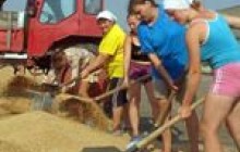 Сельхозкооперация, или очередная попытка Кабмина «спасти» село