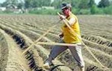 Кабмін вніс на розгляд Верховної Ради проект Закону про ринок земель