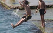 Інформація про холеру в Ялті - качка