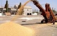 Закрома родины готовы к урожаю, но скромному…
