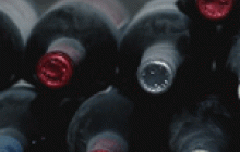 В Киеве открылся первый фестиваль вина «Wine Fest»