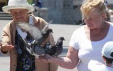 Жінкам Криму не вистачає чоловіків