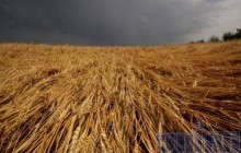 Стихия продолжает терроризировать Крым