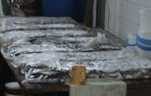 Подпольные цеха "стараются" не оставить киевлян голодными (фото)