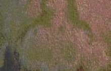 В Черновицкой области на стене сельского клуба проявились образы