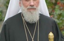 Полтысячи верующих встретили Митрополита Владимира в Житомире