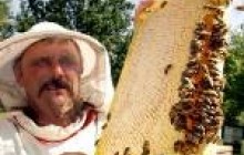 У православных христиан начался Успенский пост