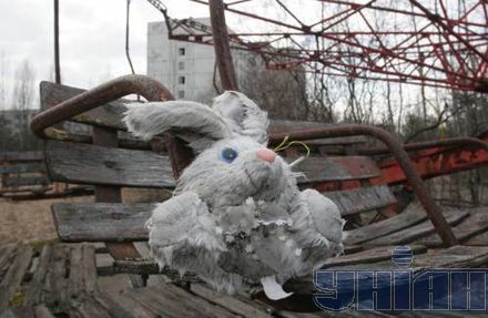 Чернобыльская зона: без контроля, без денег, но с браконьерами и самоселами 