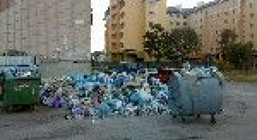 Штрафами – по мусору, или Разделяй и выбрасывай
