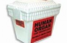 ХТО СТОЇТЬ ЗА СКАНДАЛОМ З УКРАЇНСЬКИМИ ТРУПАМИ-ДОНОРАМИ?