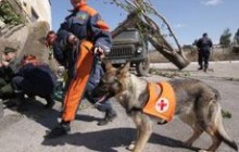 МНС проведе великомасштабні навчання в Севастополі