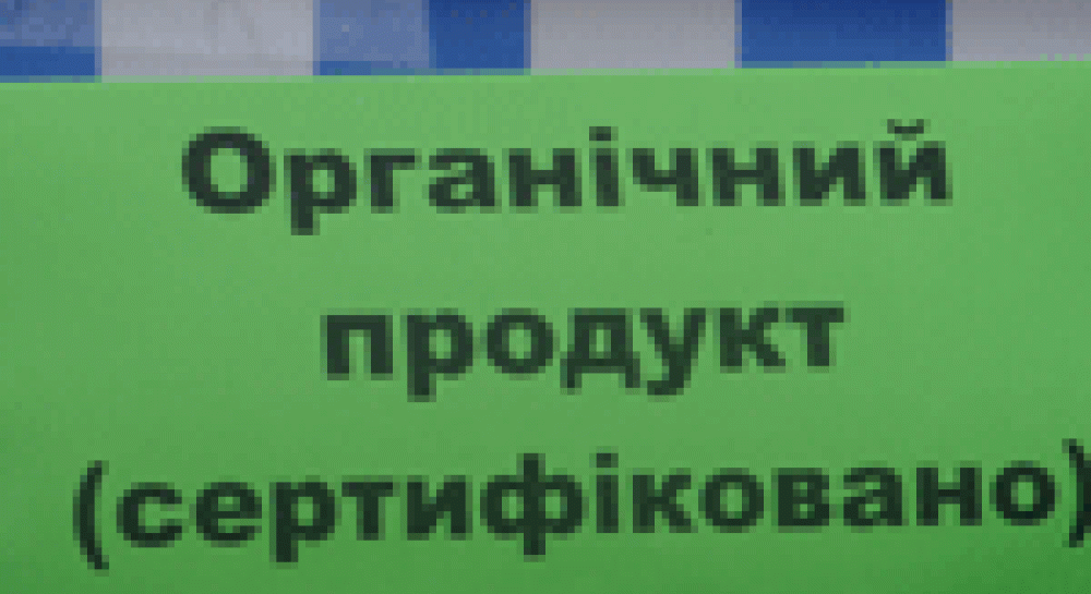 У Львові продавали органічні продукти (фото)