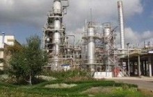 Янукович поручил Порошенко изучить вопрос о целесообразности возобновления СЭЗ