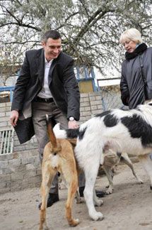 Віталій Кличко у притулку для тварин (фоторепортаж)