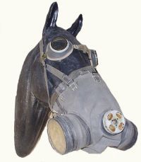 Тимошенко нашла в закромах Родины противогазы для лошадей